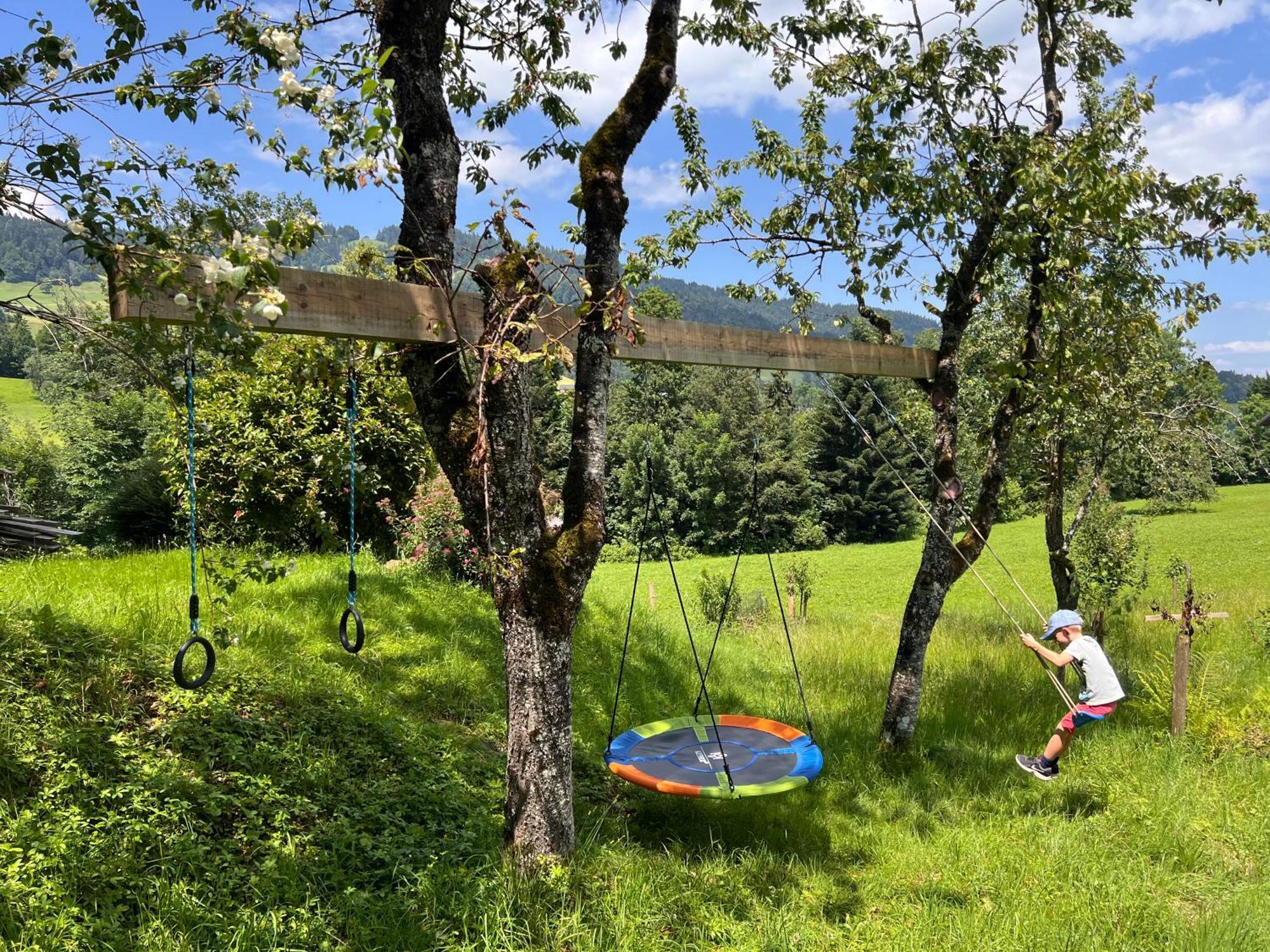 Wiesen Appartment Schwarzenberg im Bregenzerwald Luaran gambar