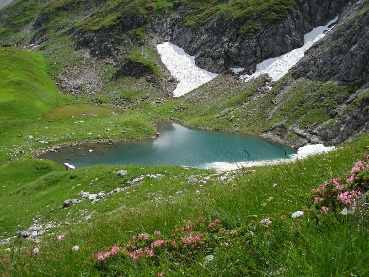 Wiesen Appartment Schwarzenberg im Bregenzerwald Luaran gambar